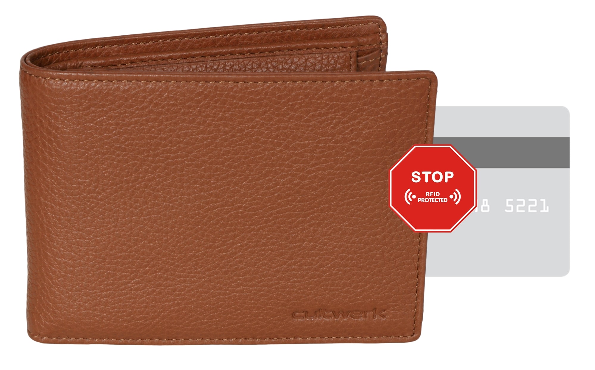 brown_bear_cultwerk_I-ha_4-min