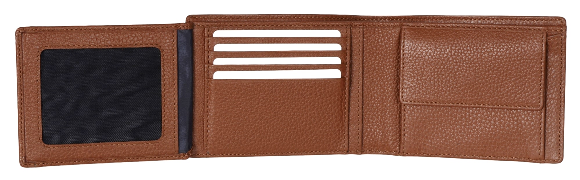 brown_bear_cultwerk_I-ha_3-min