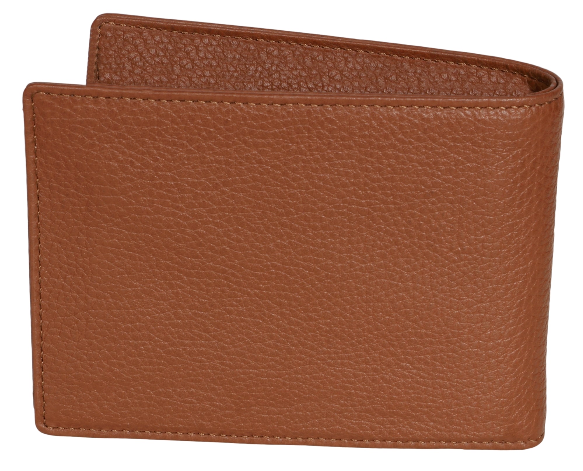 brown_bear_cultwerk_I-ha_5-min